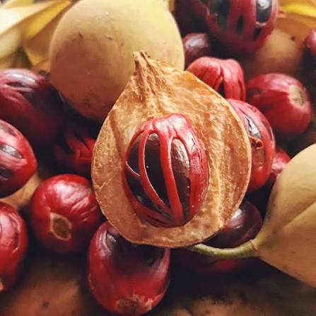 Nutmeg with red mace