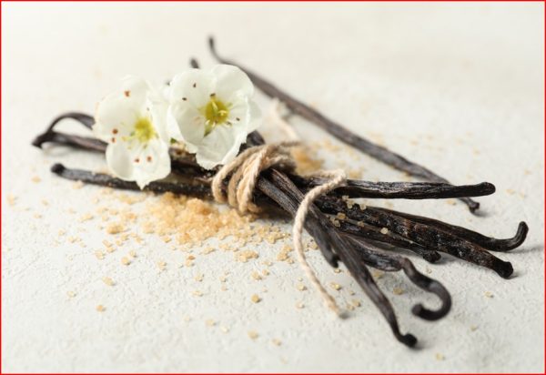Vanilla Tahitensis
