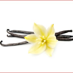 Vanilla Planifolia
